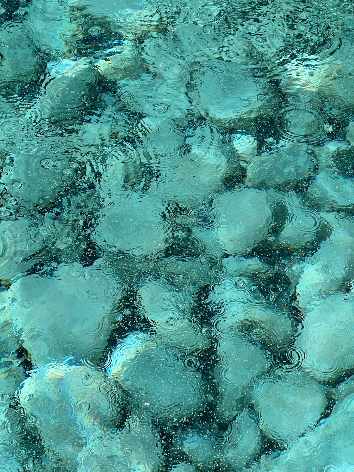 Explore Coaching Plans